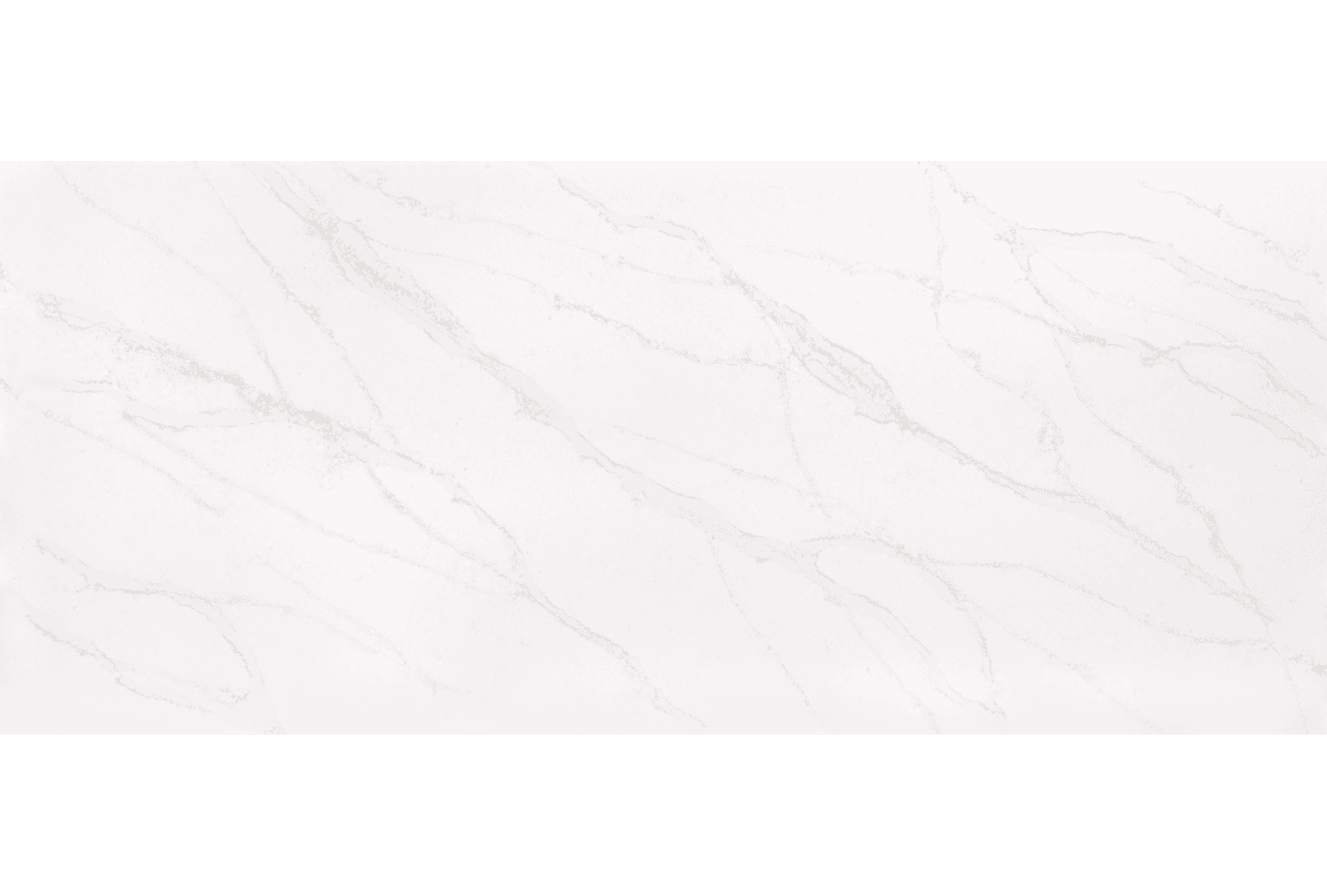 Bianco Pandora