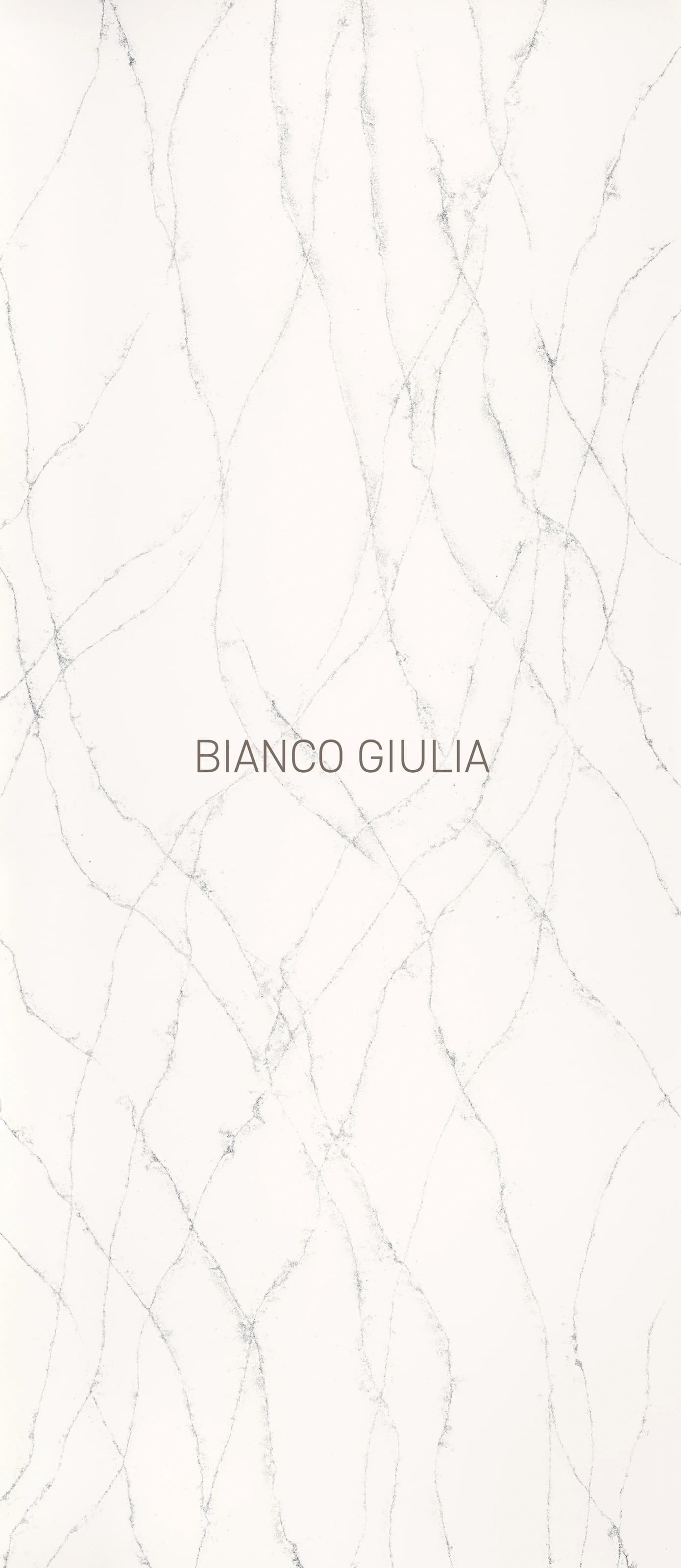 Bianco Giulia — üreticinin yüzey görseli