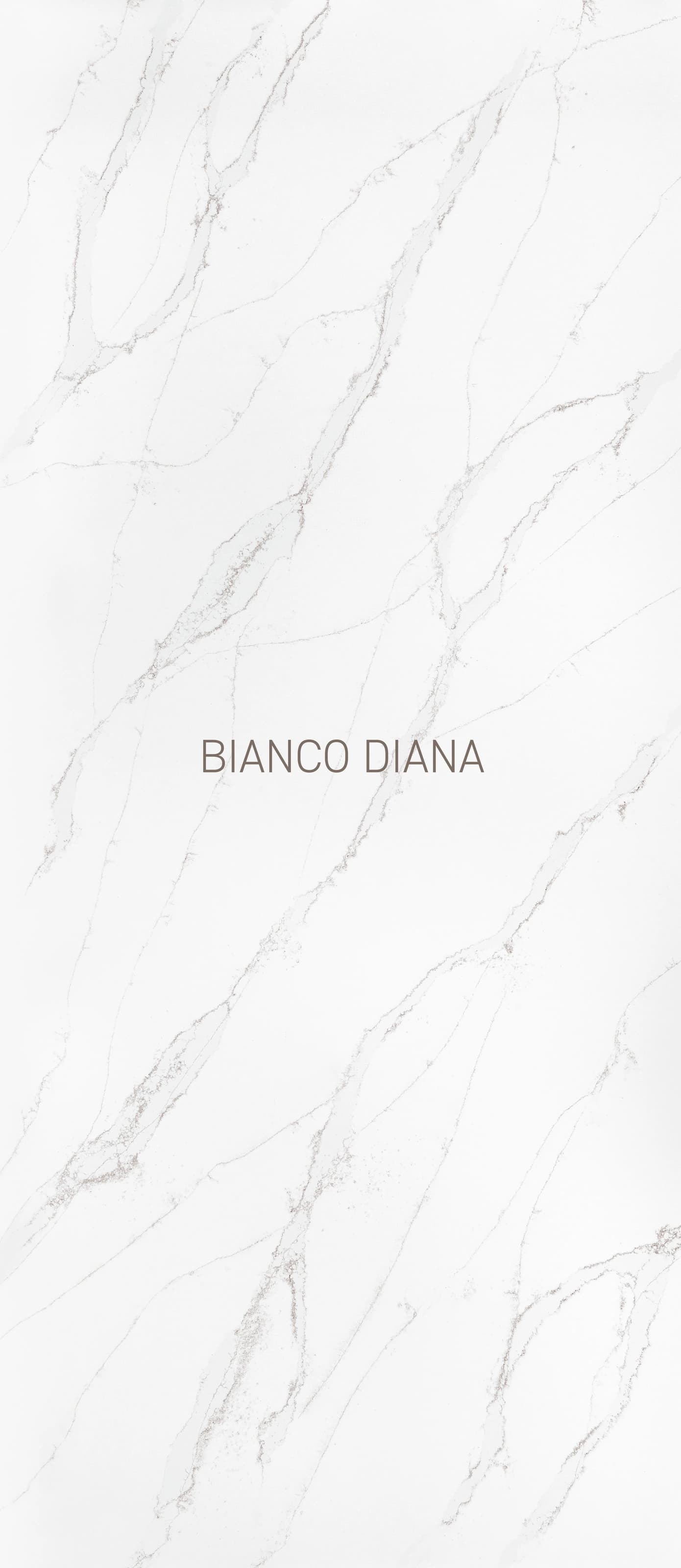 Bianco Diana — üreticinin yüzey görseli