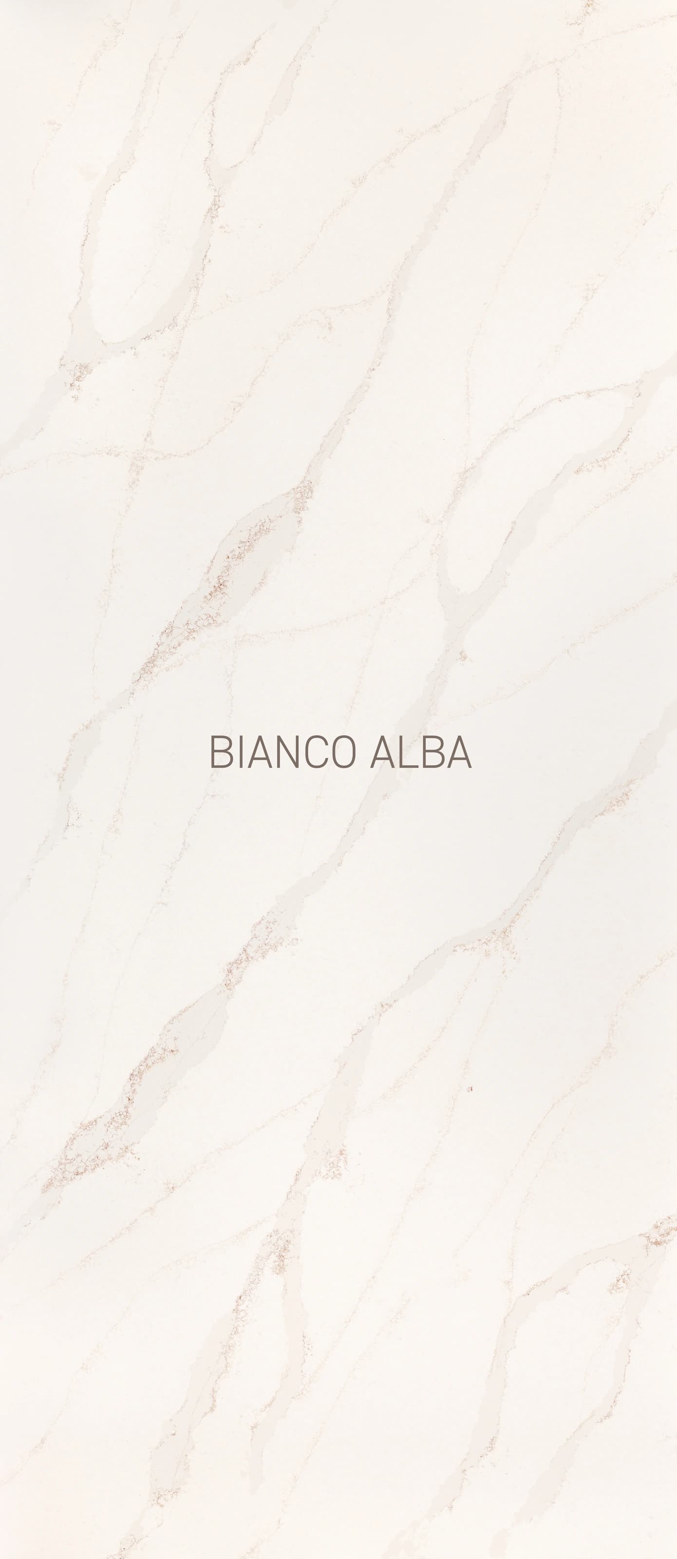 Bianco Alba — üreticinin yüzey görseli