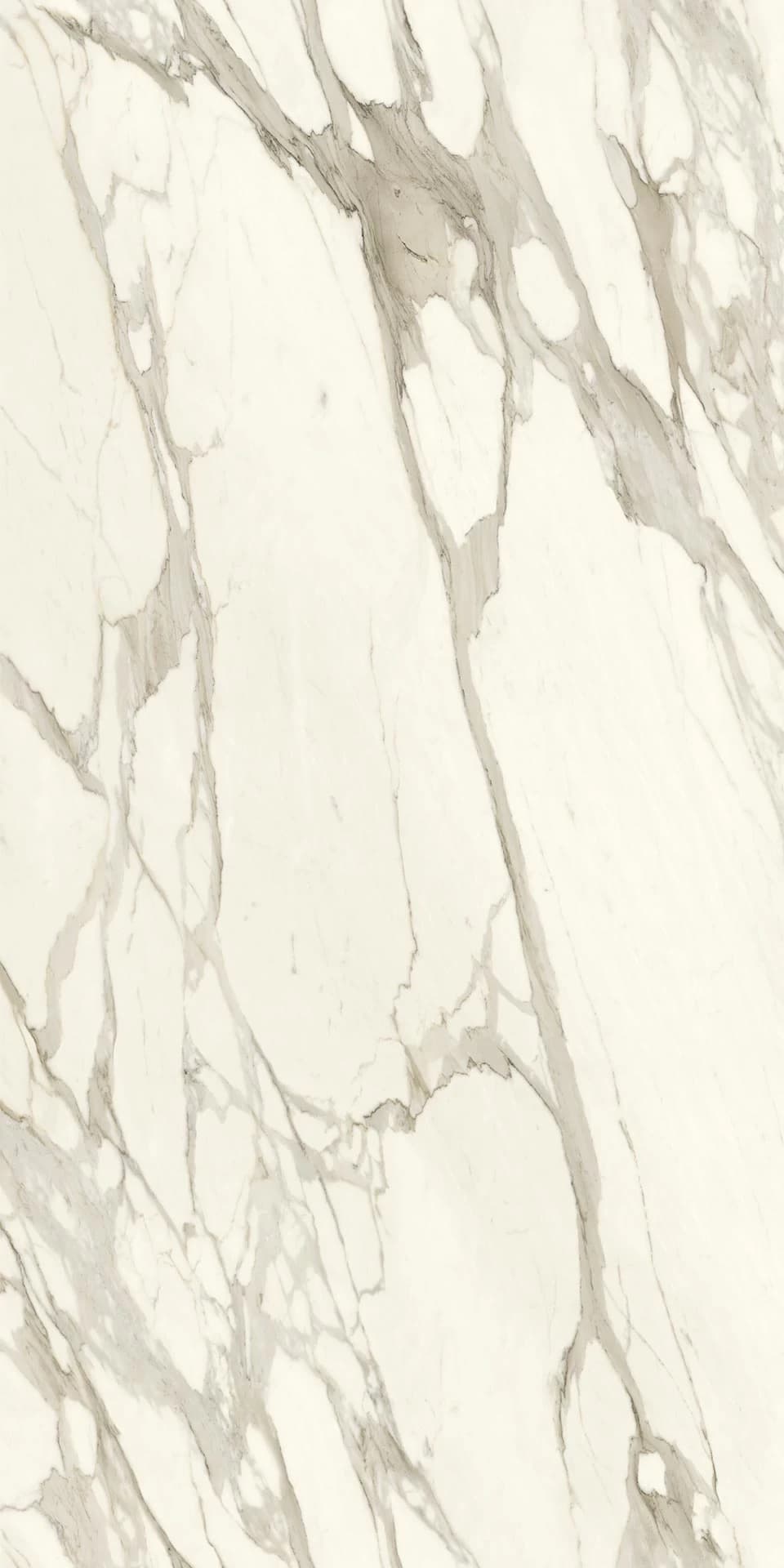 Calacatta Bernini — üreticinin yüzey görseli