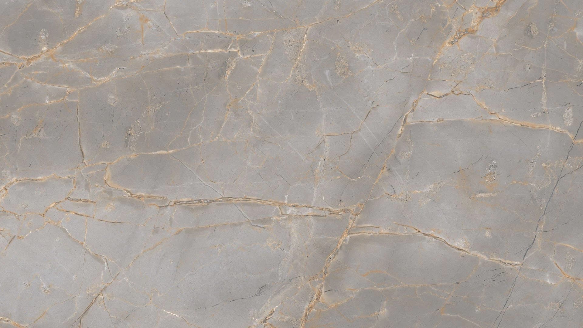 Versace Gold — üreticinin yüzey görseli