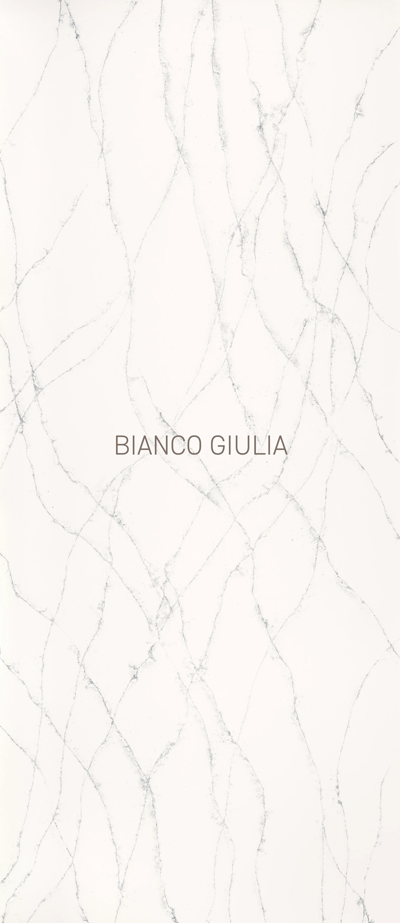 Bianco Giulia — üreticinin yüzey görseli