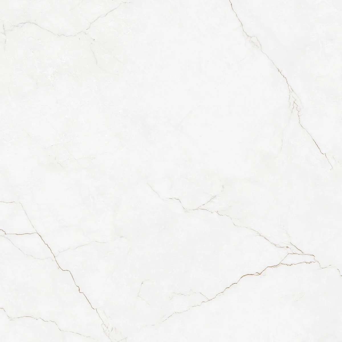 Lux Tetra 10137 — üreticinin yüzey görseli