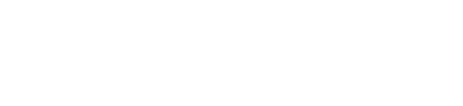 Level logosu